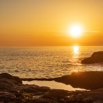 가와사키 시 관광 지도: 가와사키에서 꼭 가봐야 할 명소들